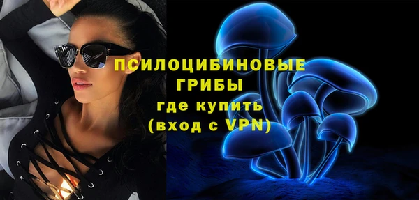 мдпв Елабуга