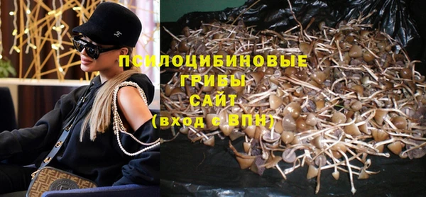 мдпв Елабуга