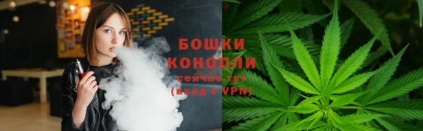 прущая мука Ельня