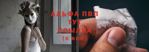 мдпв Елабуга