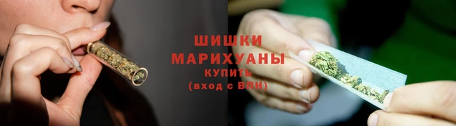 МДПВ Елизово