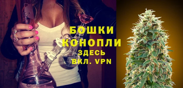 прущая мука Ельня