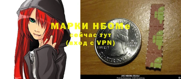 мдпв Елабуга