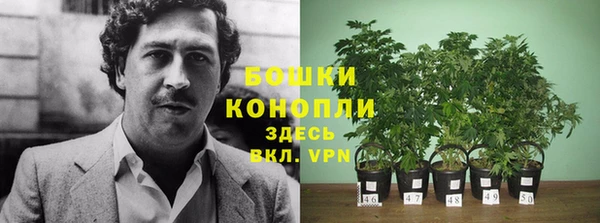 прущая мука Ельня